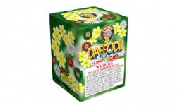 BROTHERS DAFFODIL- CASE 24/1