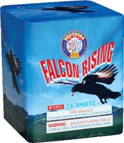 BROTHERS FALCON RISING- CASE 12/1