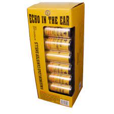 WINDA ECHO IN THE EARS - CASE 12/6