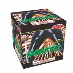 FORWARD MASTER- CASE 12/1