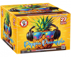 WINDA POPPIN PINEAPPLE- CASE 4/1