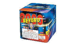 BROTHERS BEYOND IT ALL - CASE 12/1