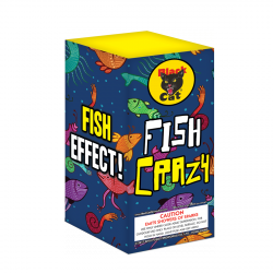 BLACK CAT FISH CRAZY