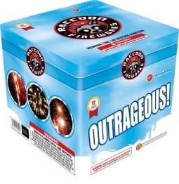 RACCOON OUTRAGEOUS!- CASE 12/1