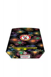 100's MINI AMAZING BALLET- CASE 4/1