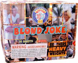 BROTHERS BLOND JOKE- CASE 4/1