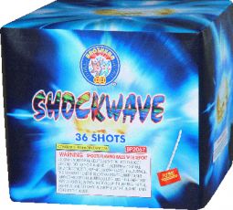 BROTHERS SHOCKWAVE- CASE 12/1