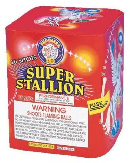 BROTHERS SUPER STALLION- CASE 24/1