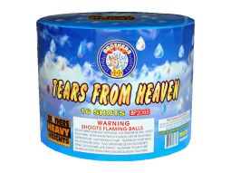 BROTHERS TEARS FROM HEAVEN- CASE 2/1