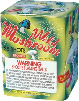 BROTHERS WILD MUSHROOM- CASE 12/1