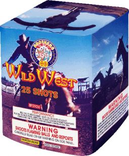 BROTHERS WILD WEST- CASE 12/1