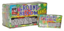 SHOGUN GROUND BLOOM FLOWER WITH BANG -CASE 20/12/6