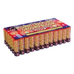 SHOGUN JUMBO CRACKLING GROUND BLOOM- CASE 12/12/6