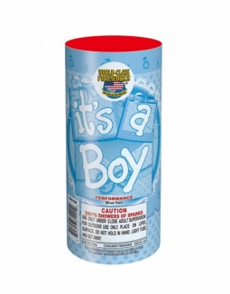 THE REVEAL - ITS A BOY FOUNTAIN